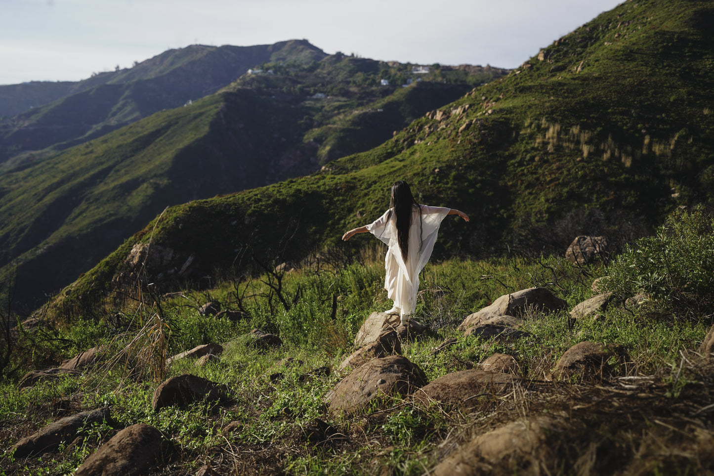 Dance of Destiny Rising