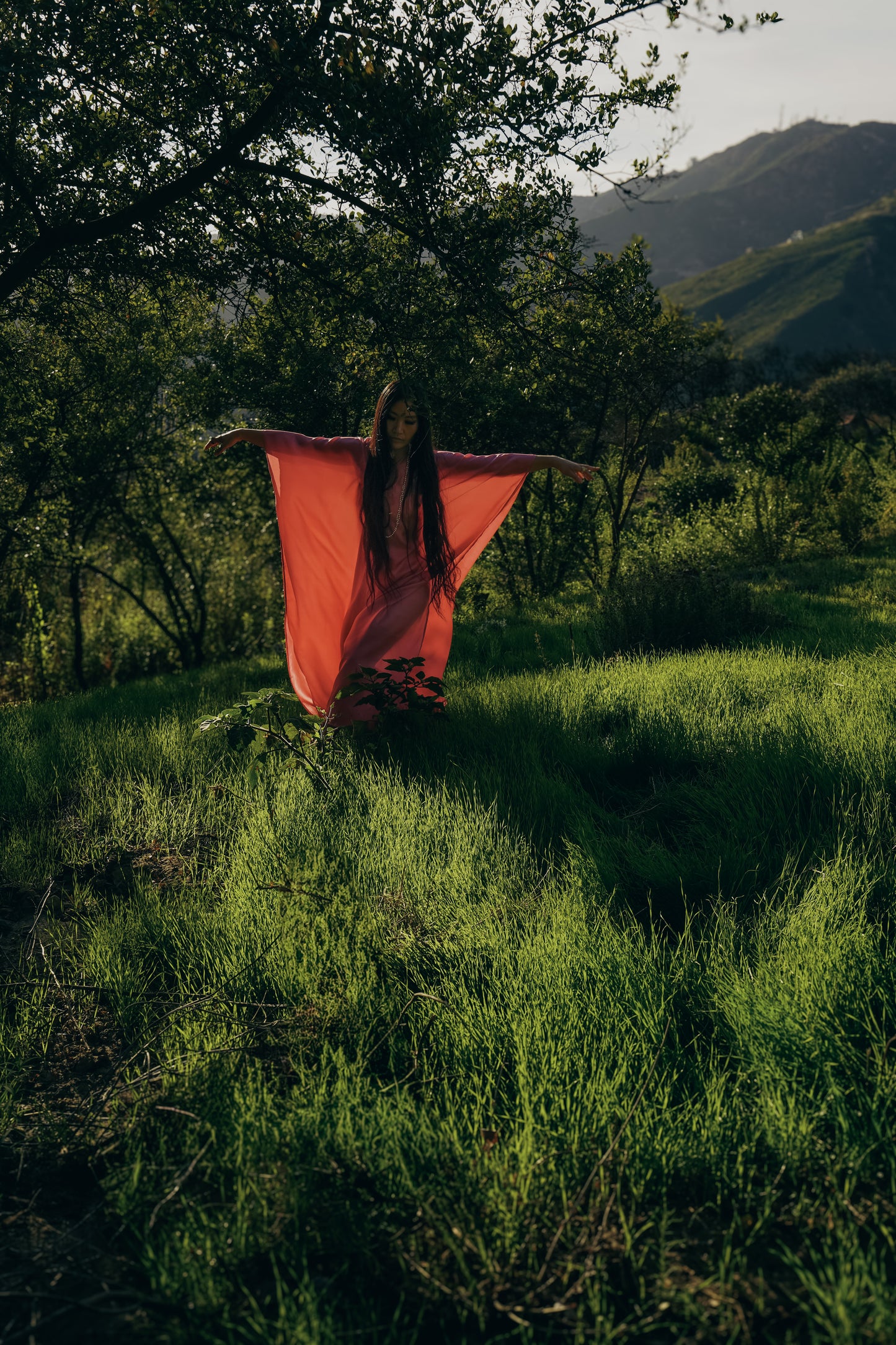 Cosmos Dress for the Ceremony of Life